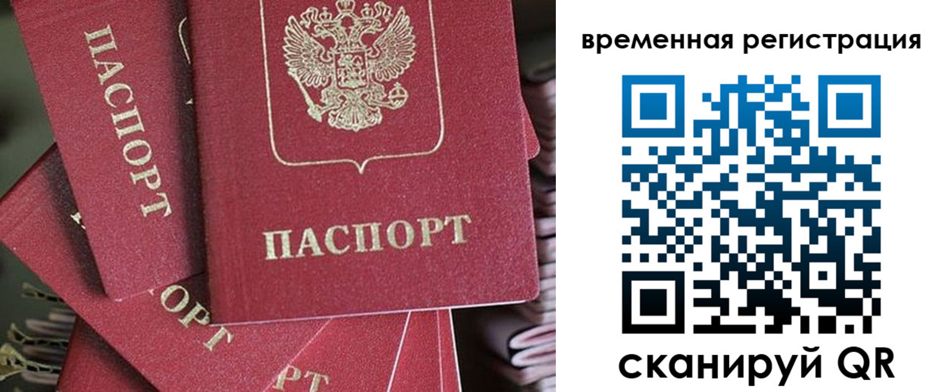 прописка в квартире в Звенигово